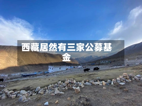阿尔特塔本人正亲自牵头，推动阿森纳今夏签下罗杰斯