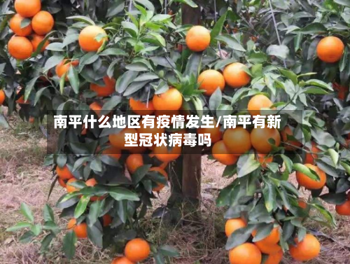法布雷加斯回应萨内蒂：尼科-帕斯不会加盟国米，请保持尊重