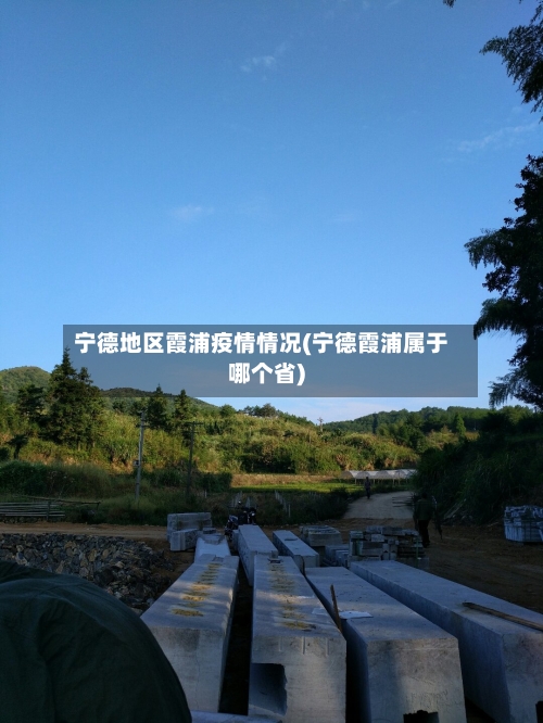赛轮轮胎(601058.SH)：中东地区发货暂未恢复至往年同期水平