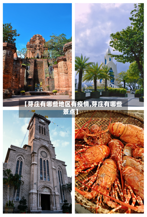 阿尔梅里亚老板：C罗欧冠决赛都没哭，沙特足球难度和竞争大