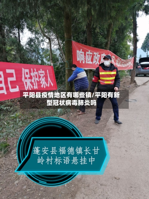 斯科拉里：仍相信巴西能夺冠，很多时候阵容不是最好也能赢